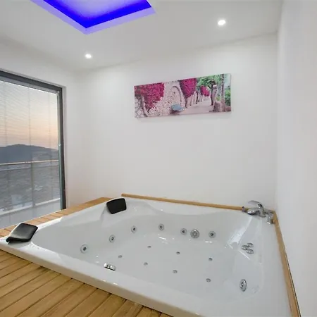 Luxury Lion With Sea View