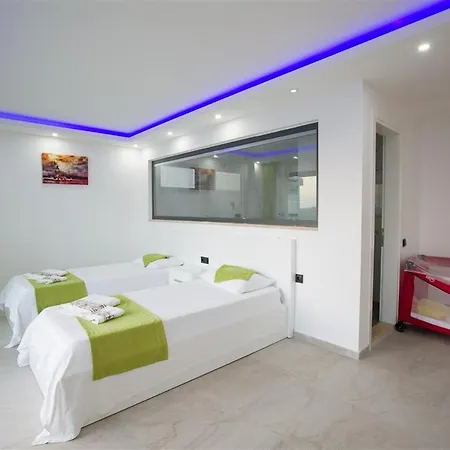 Luxury Lion With Sea View